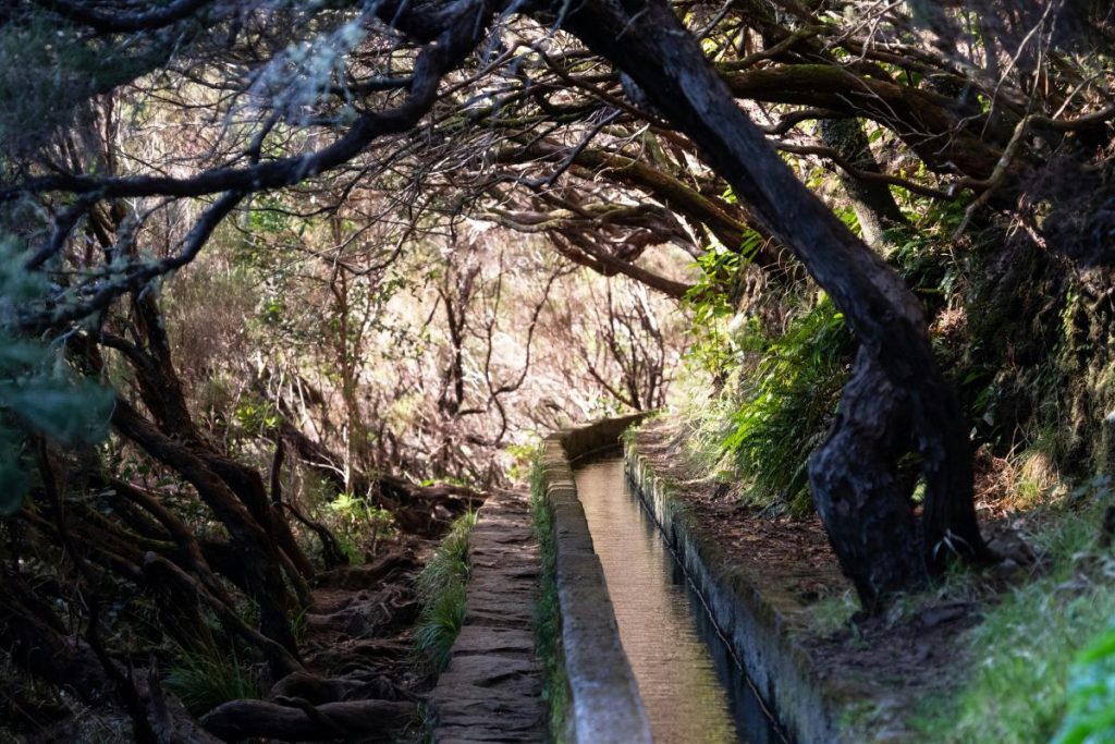 En Levada och vandringsled på Madeira